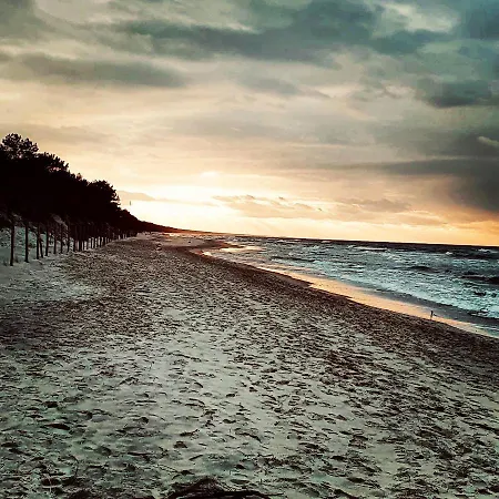 Familijny - 10 Osob 2 Poziomy 2 Lazienki Kuchnia דירה *